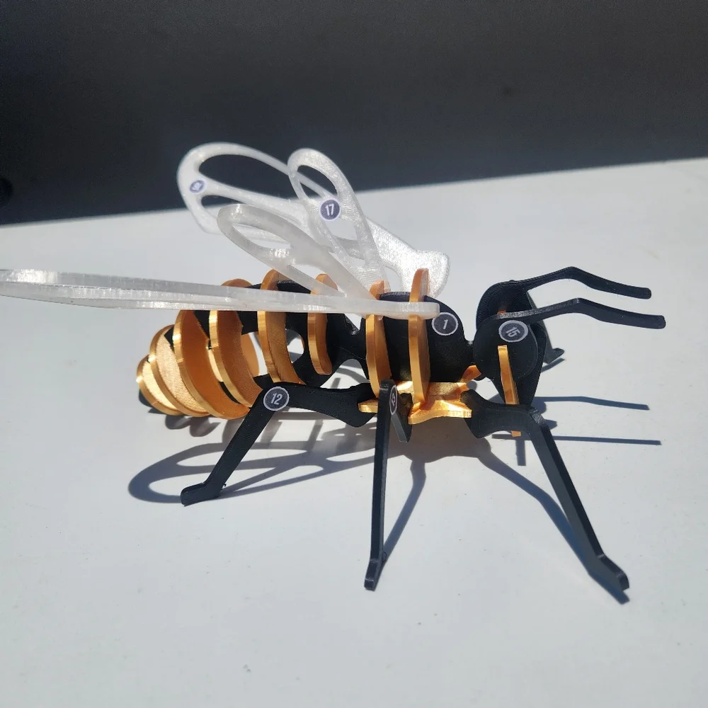 Bee Model Honeybee 3D Puzzle Honey Bees Classroom Science STEM Craft Insect Bugs
